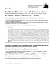 МОРФОЛОГИЧЕСКАЯ ИЗМЕНЧИВОСТЬ ФОРМ/ВИДОВ СИГОВ COREGONUS LAVARETUS SENSU LATO (SALMONIDAE: COREGONINAE) ВОДОЕМОВ СЕВЕРО-ЗАПАДА РОССИИ